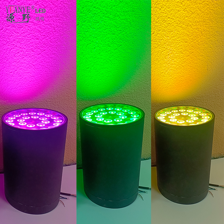 Decorative LED Fixture