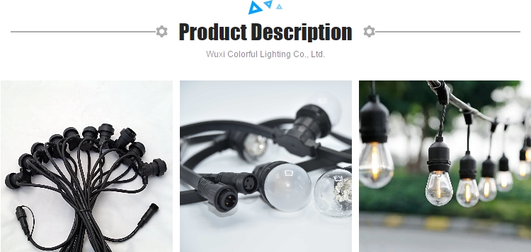 String Light Types