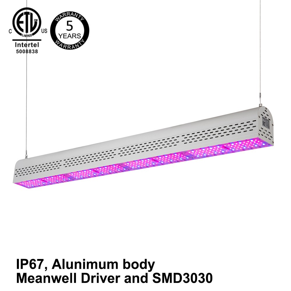 Related Product 6
