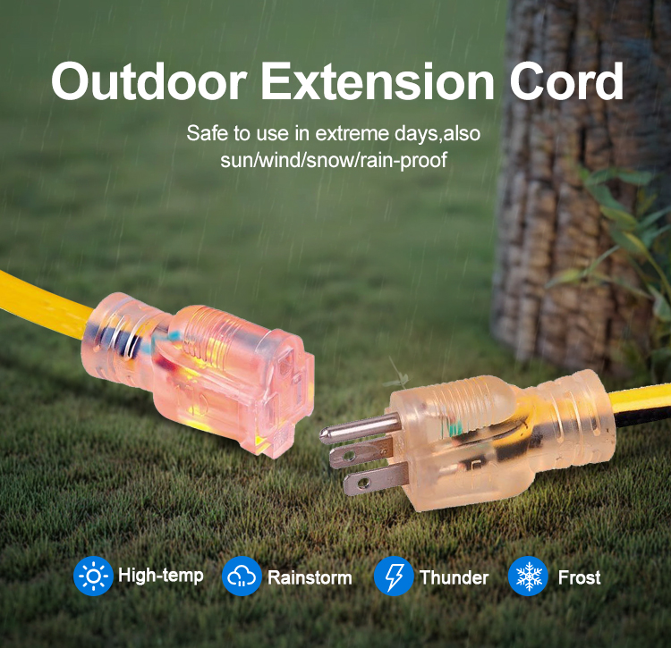 Power Cord Showcase