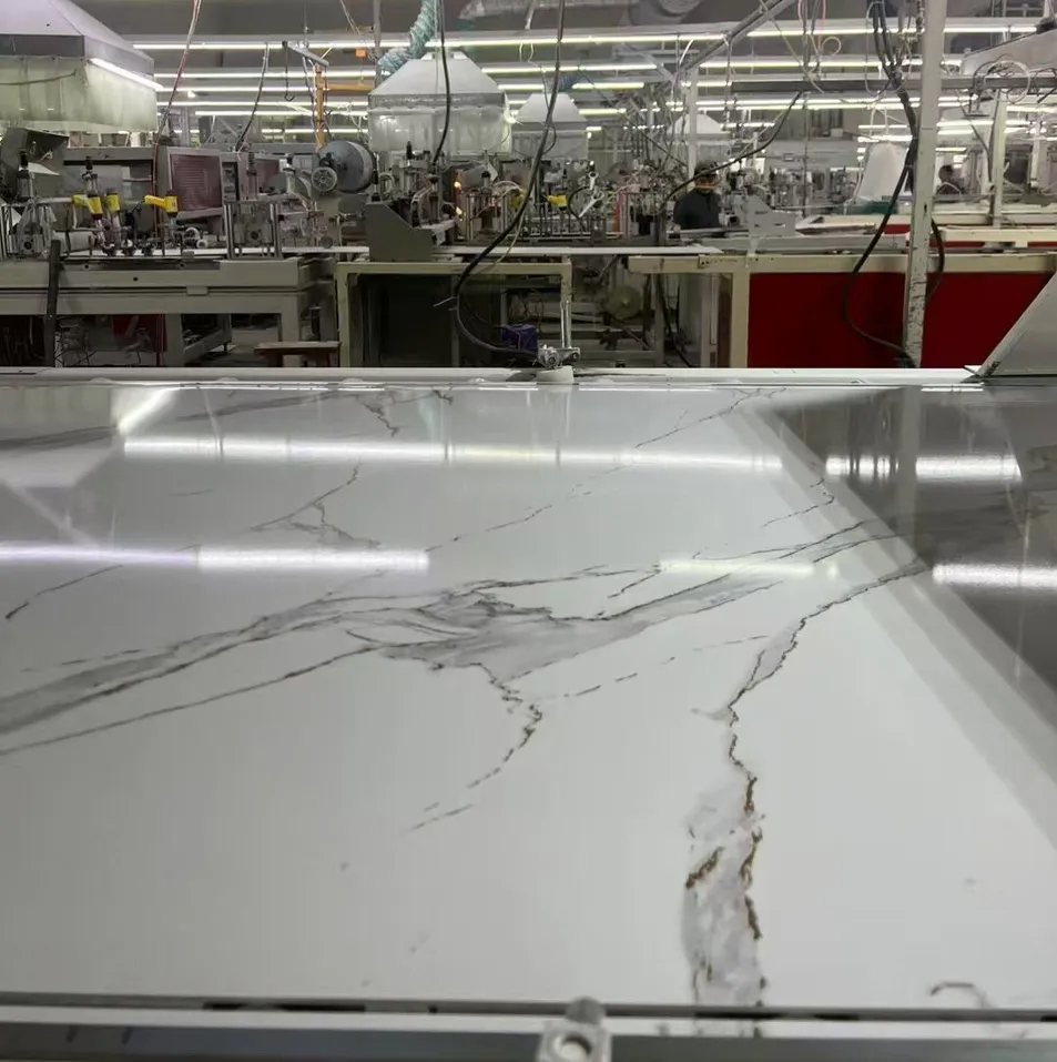 SPC Wall Panels Interior