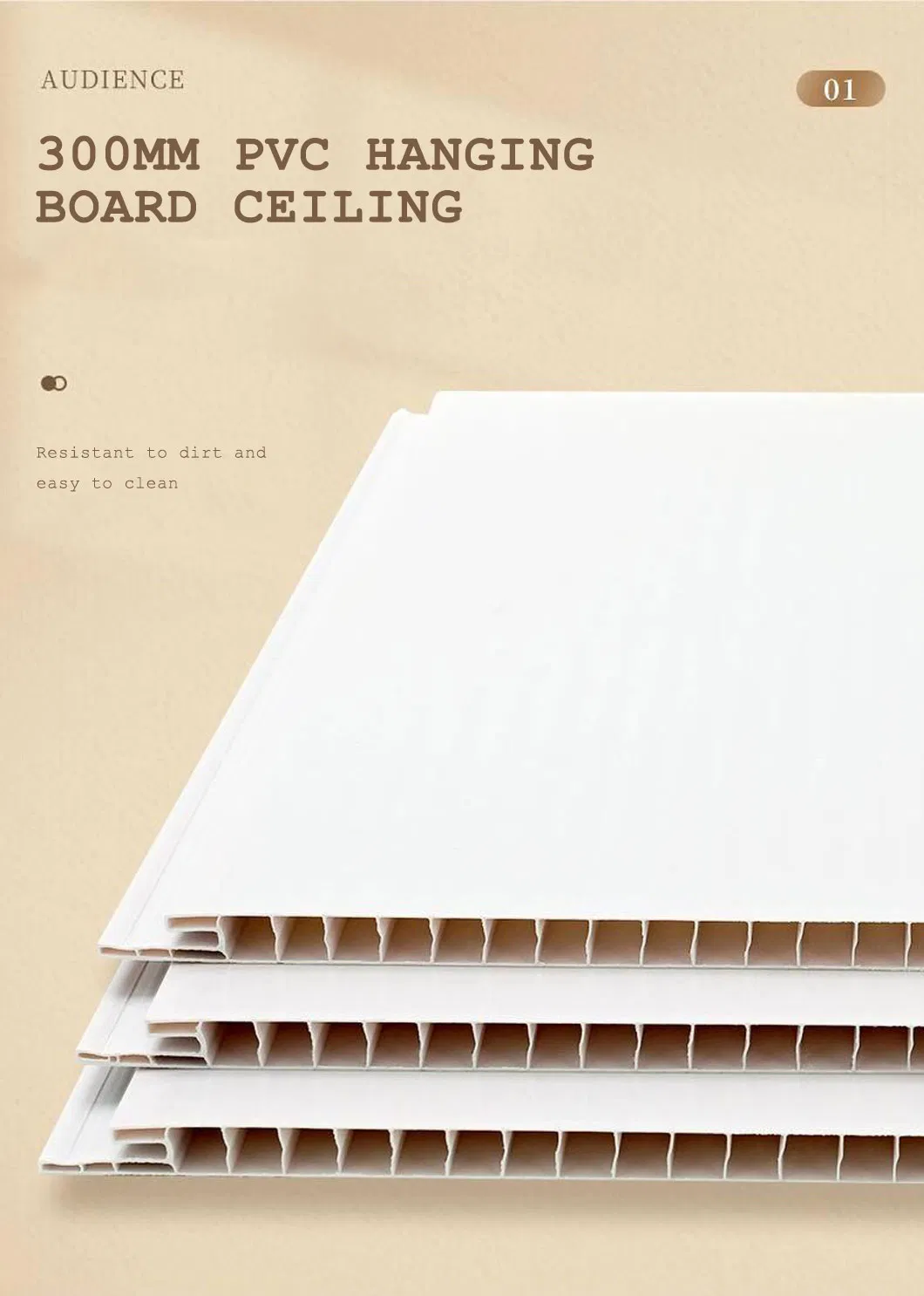 PVC Ceiling Decoration