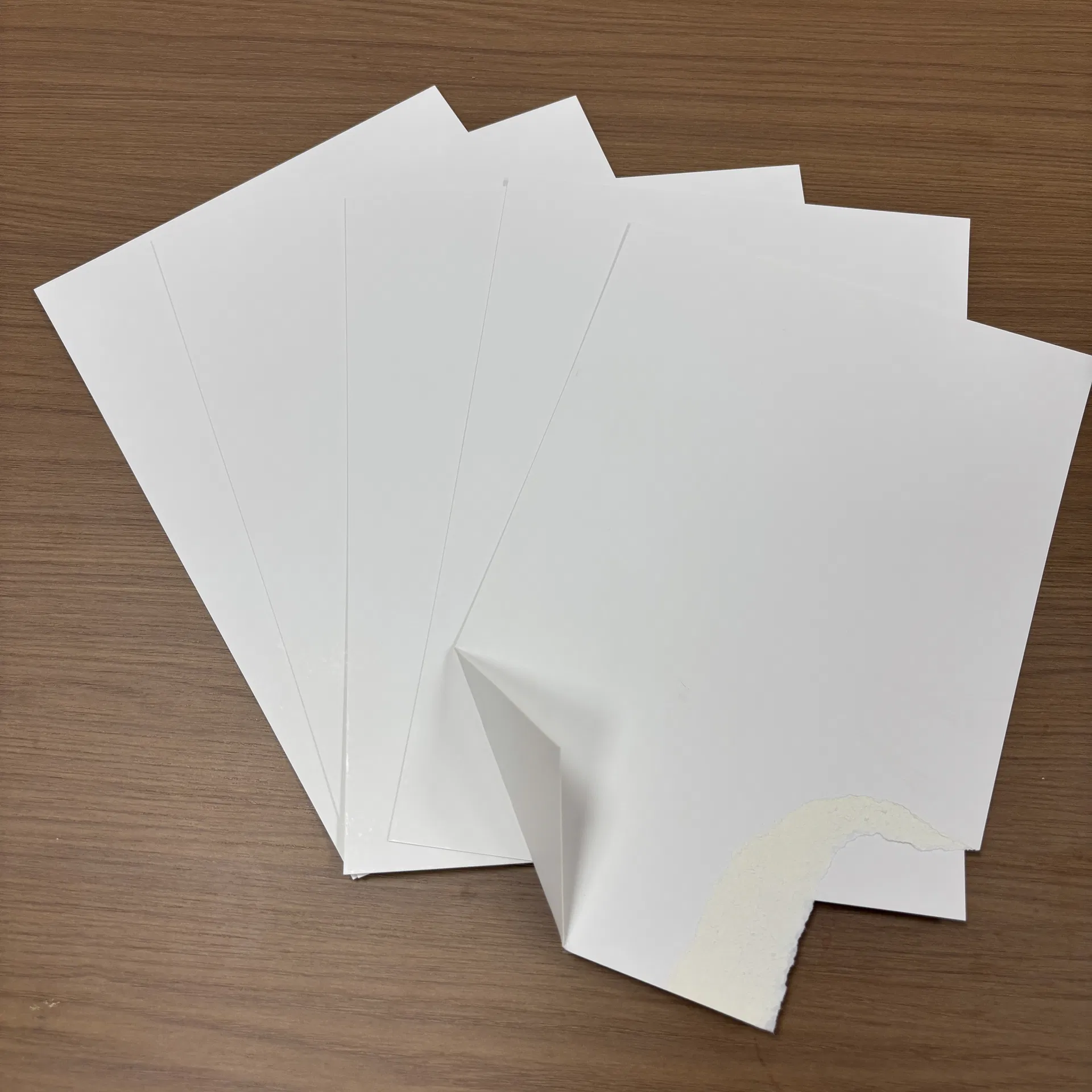 High Quality Folding Box Board