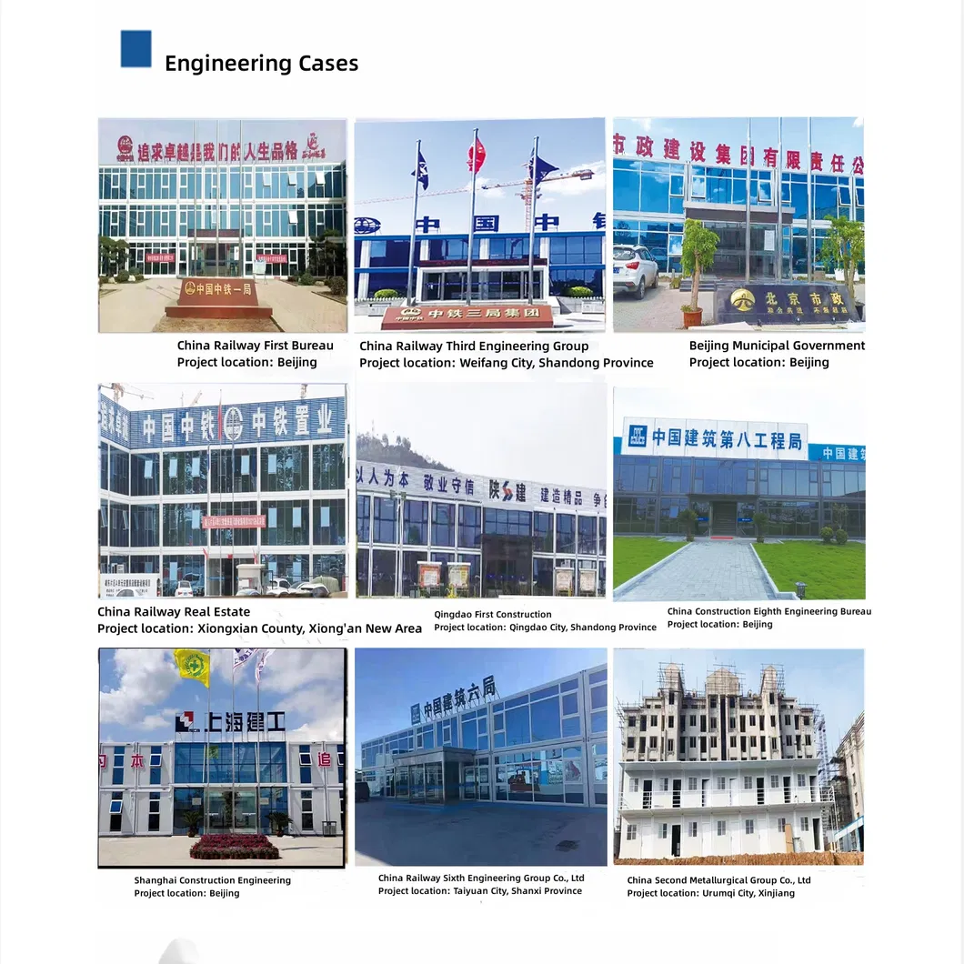 Successful Projects Showcase