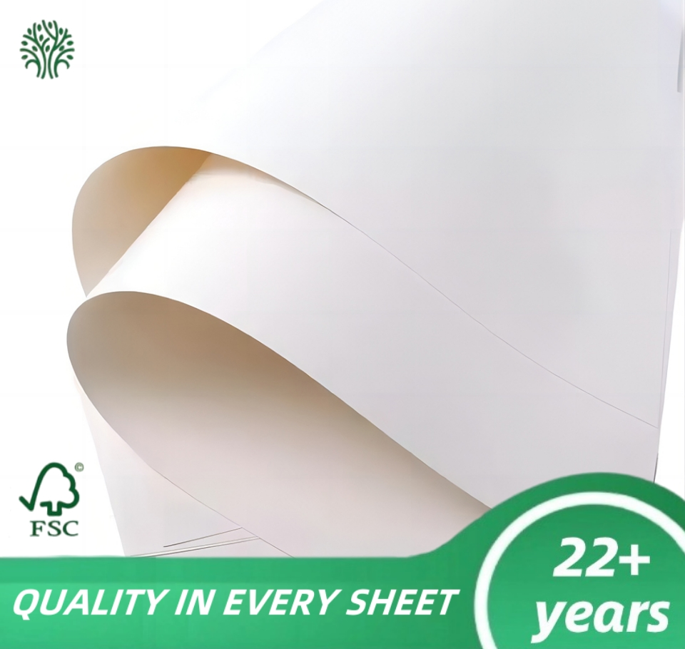 High Quality 300GSM 350GSM Fbb Paper Folding Box Board C1s Coated Ivory Board
