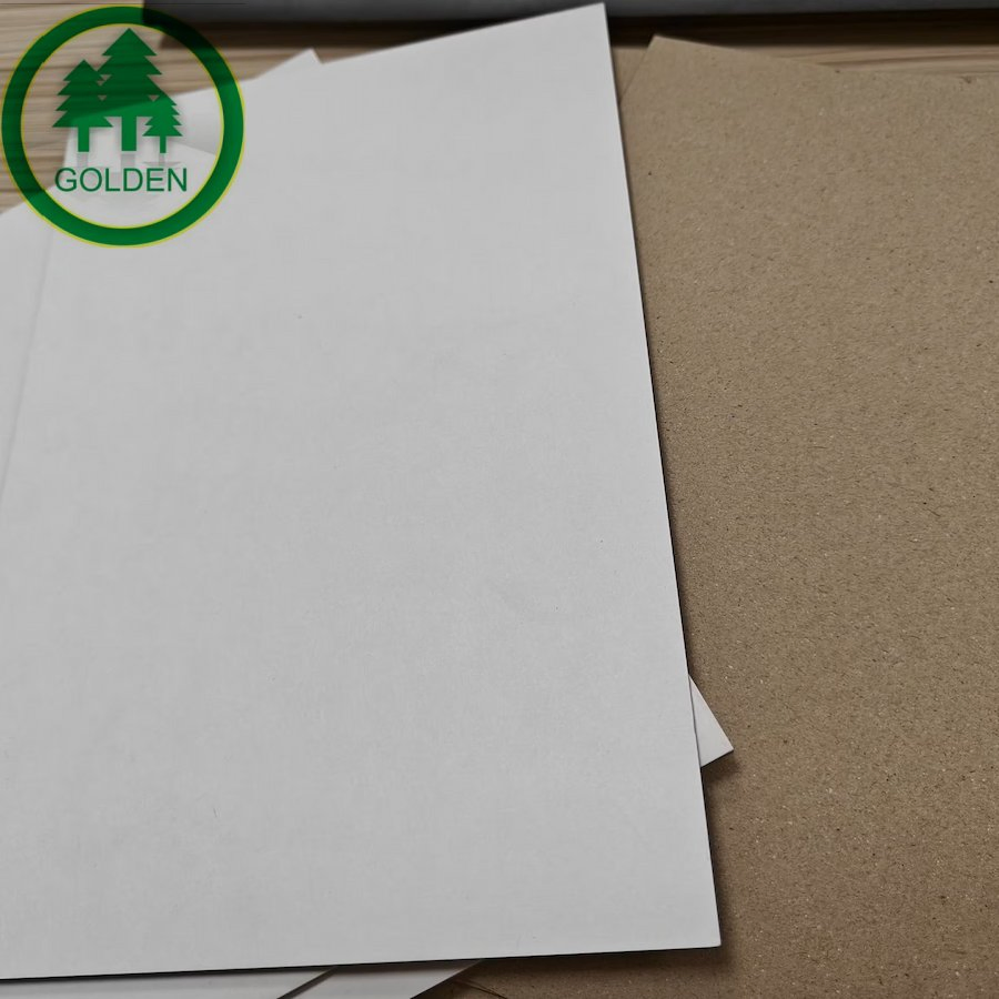 C1s Ivory Board Folding Box Board Ivory Board Food Board for Dubai Market