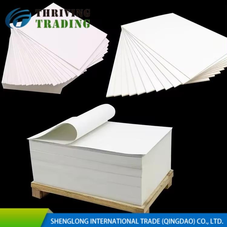 Premium Folding Box Board - C1s Ivory, Durable 250GSM &amp; 300GSM