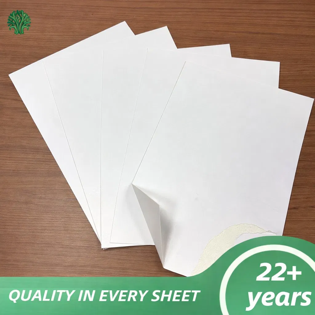 High Quality 300GSM 350GSM Fbb Paper Folding Box Board C1s Coated Ivory Board