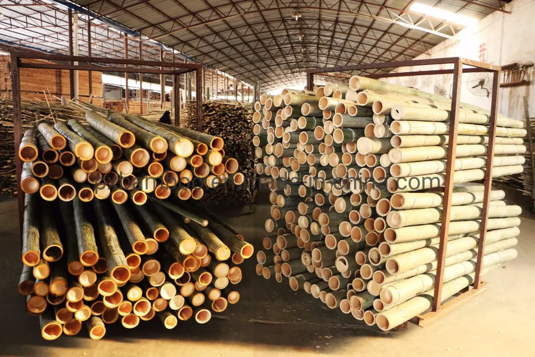 Bamboo Board Lifestyle View