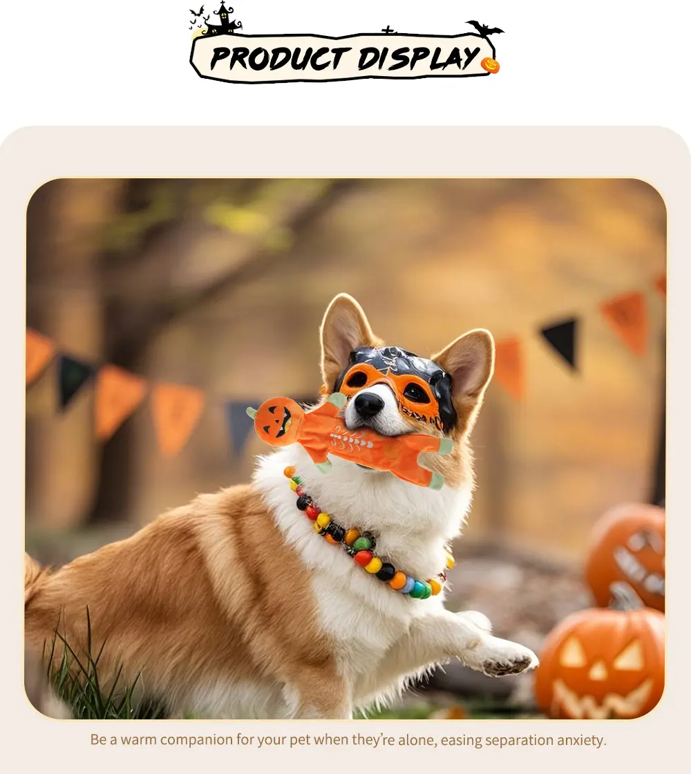 Halloween Pet Toy 6