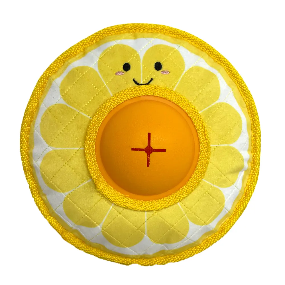 OEM Fruit-Shaped Dog Toys, Durable & Safe, Promote Dental Health, Ideal For Play & Training Factory, Factories
