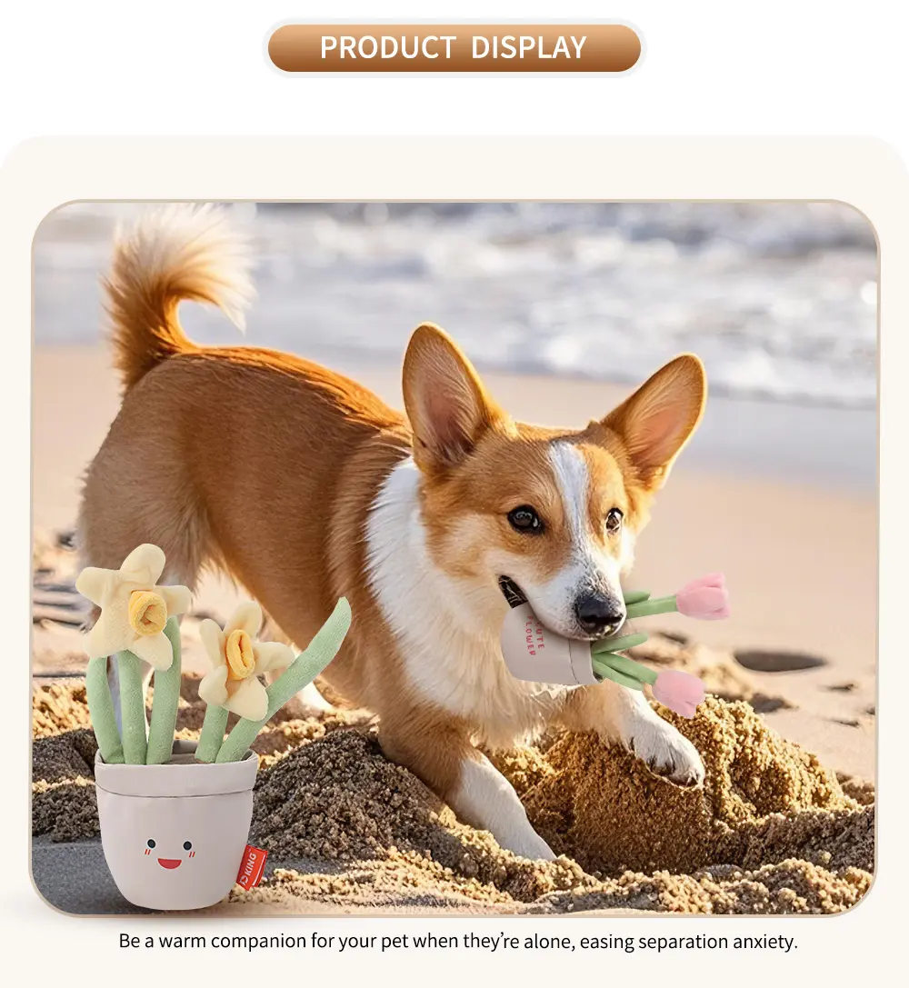 Pet Toy 6
