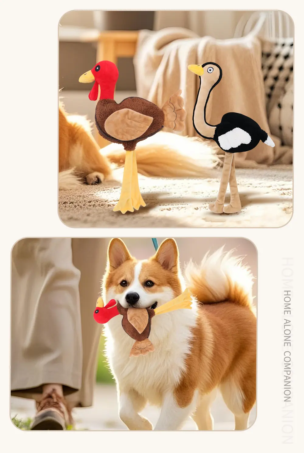 Pet Toy Display 7