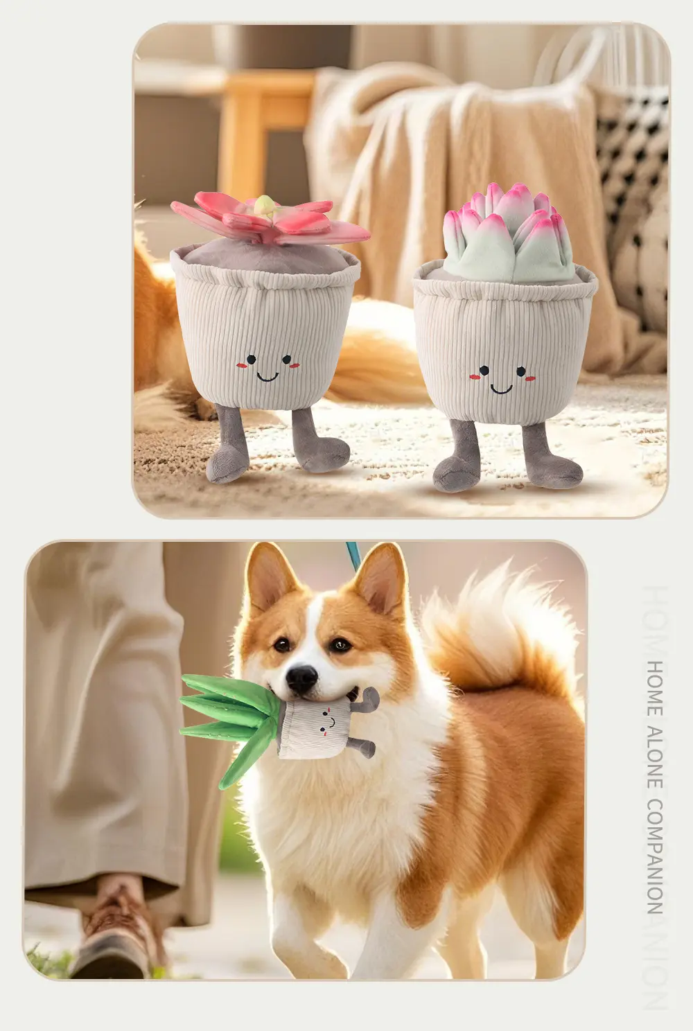 Pet Toy 7