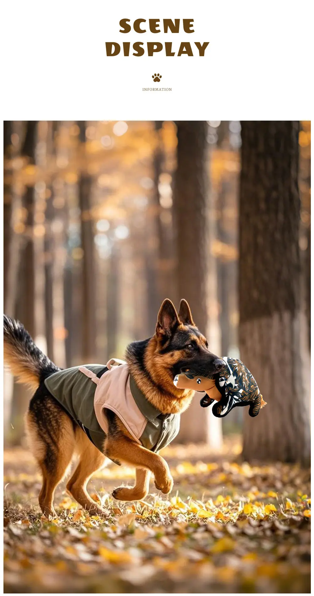 Interactive Pet Toys