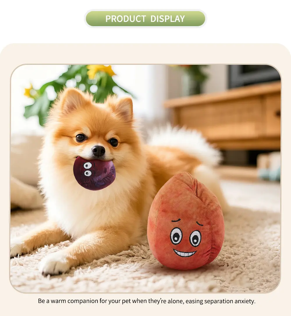 Interactive pet toy detail display 6