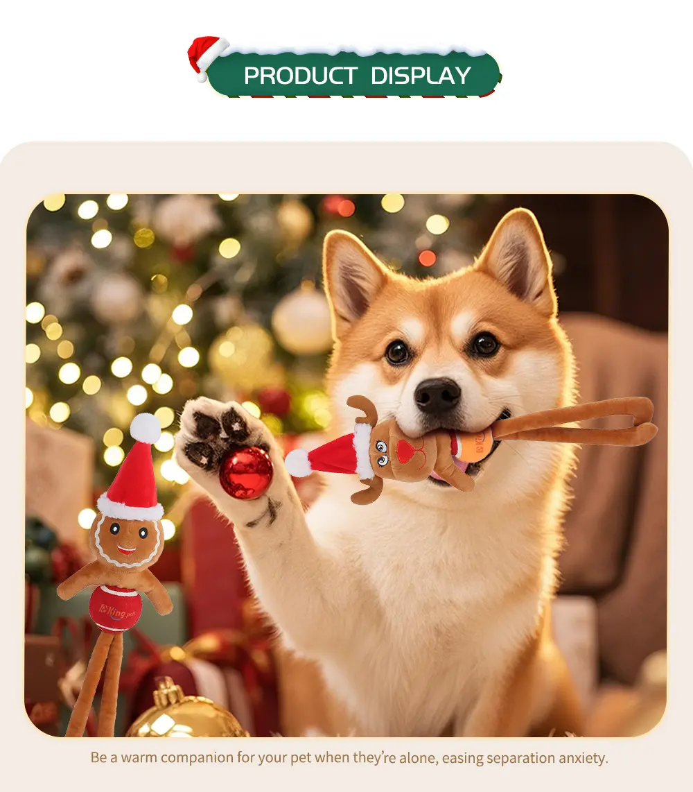 Pet Toy Display 6