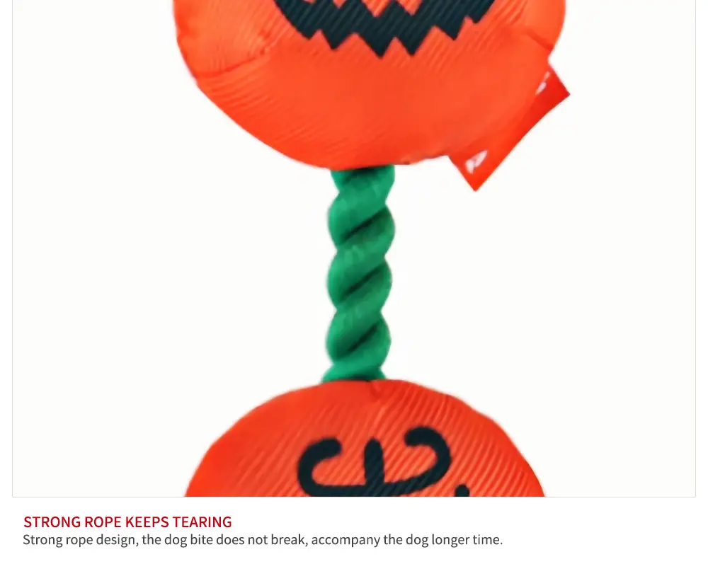 Pet Toy 12