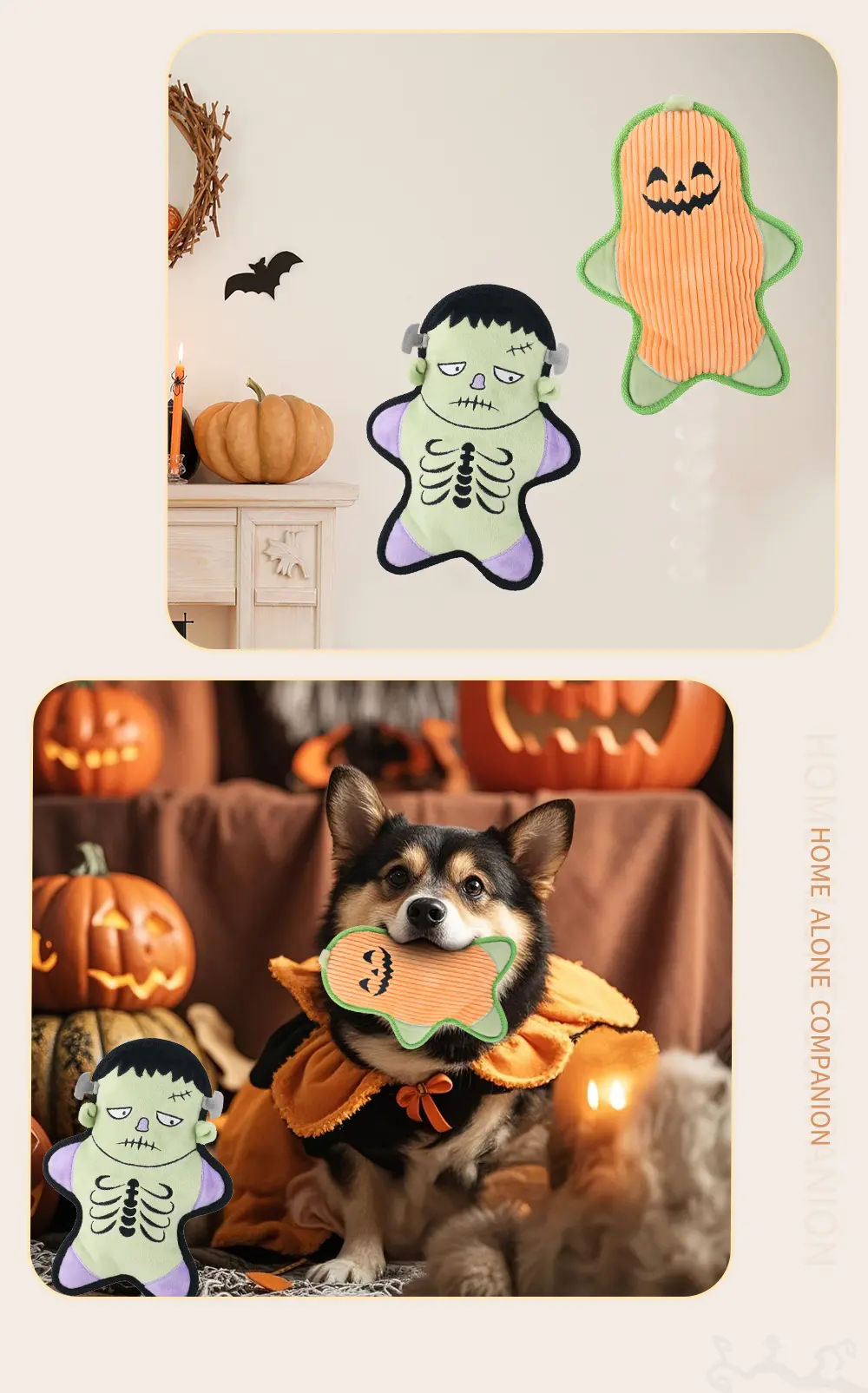 Pet Toy 7
