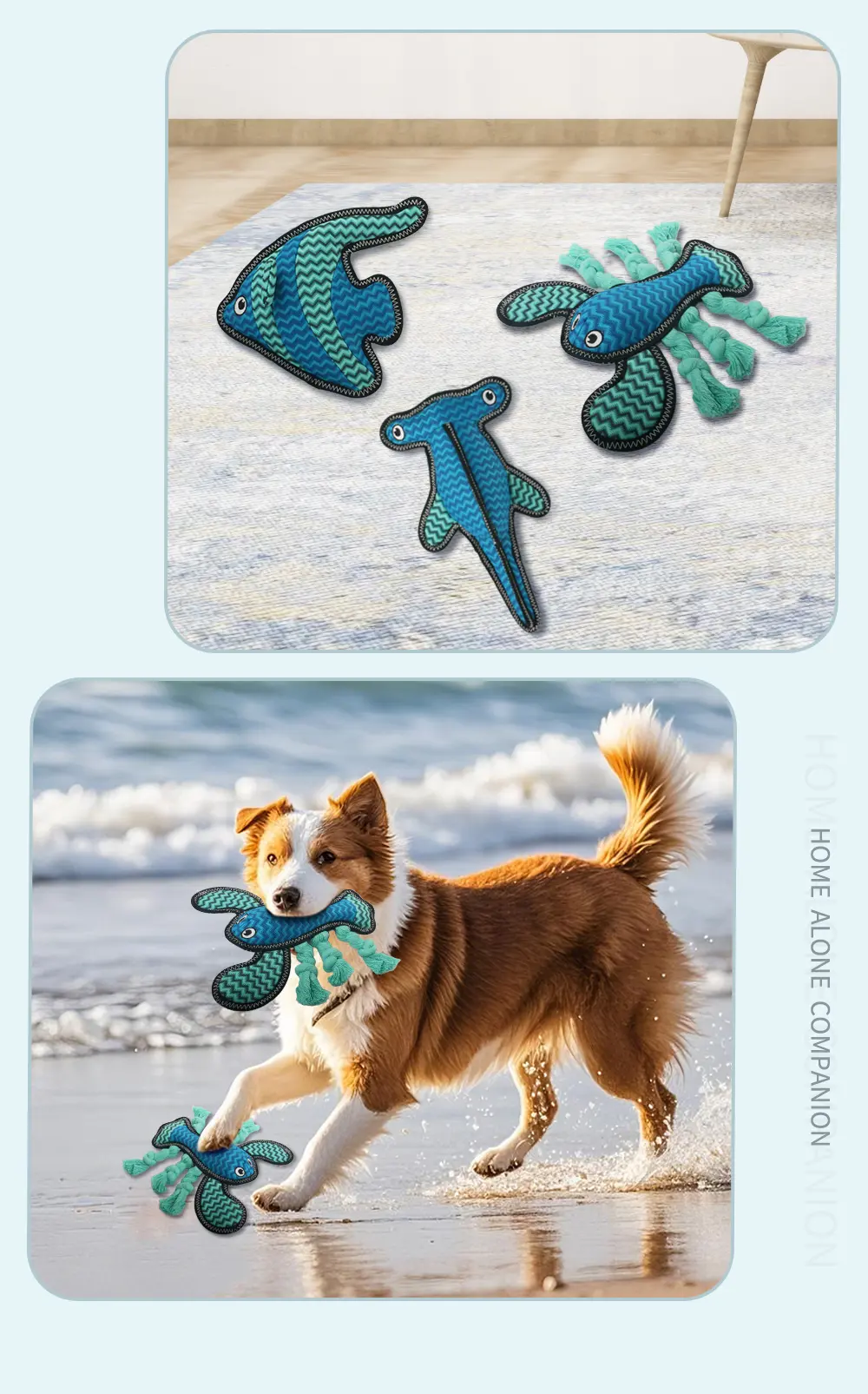 Dog Toy Play