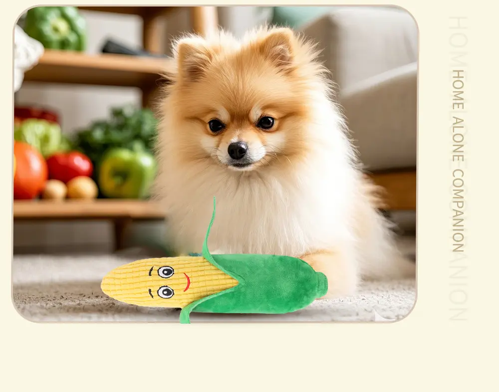 Pet Toy Display 8