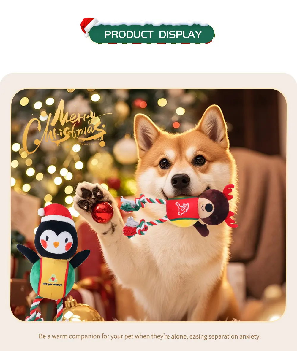 Product Display 6