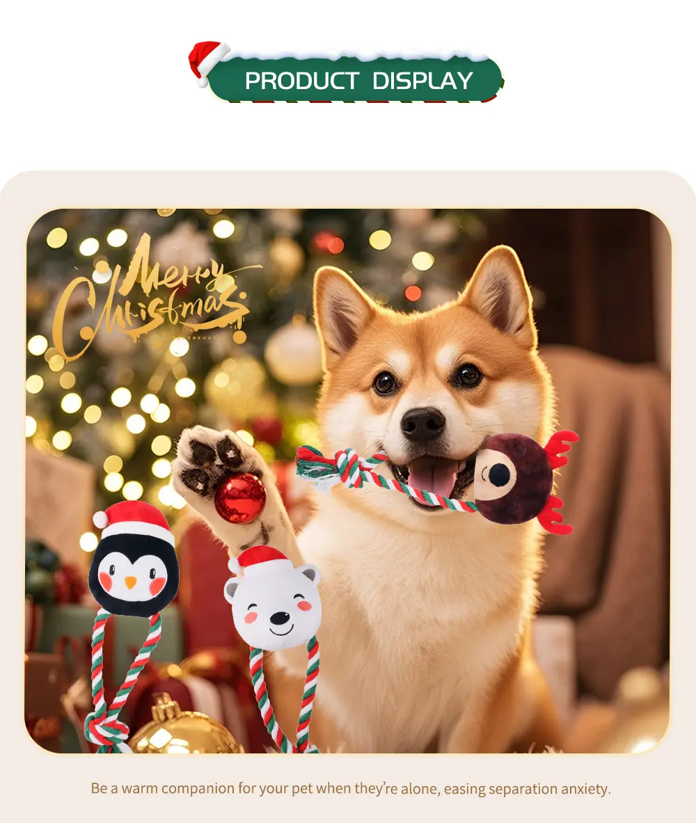 Pet Toy Display 5