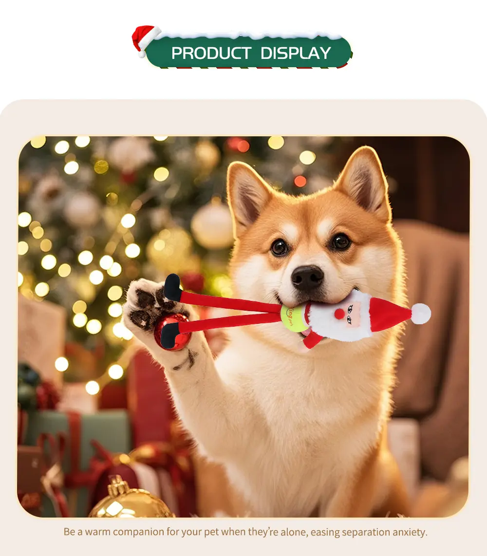 Pet Toy View 6