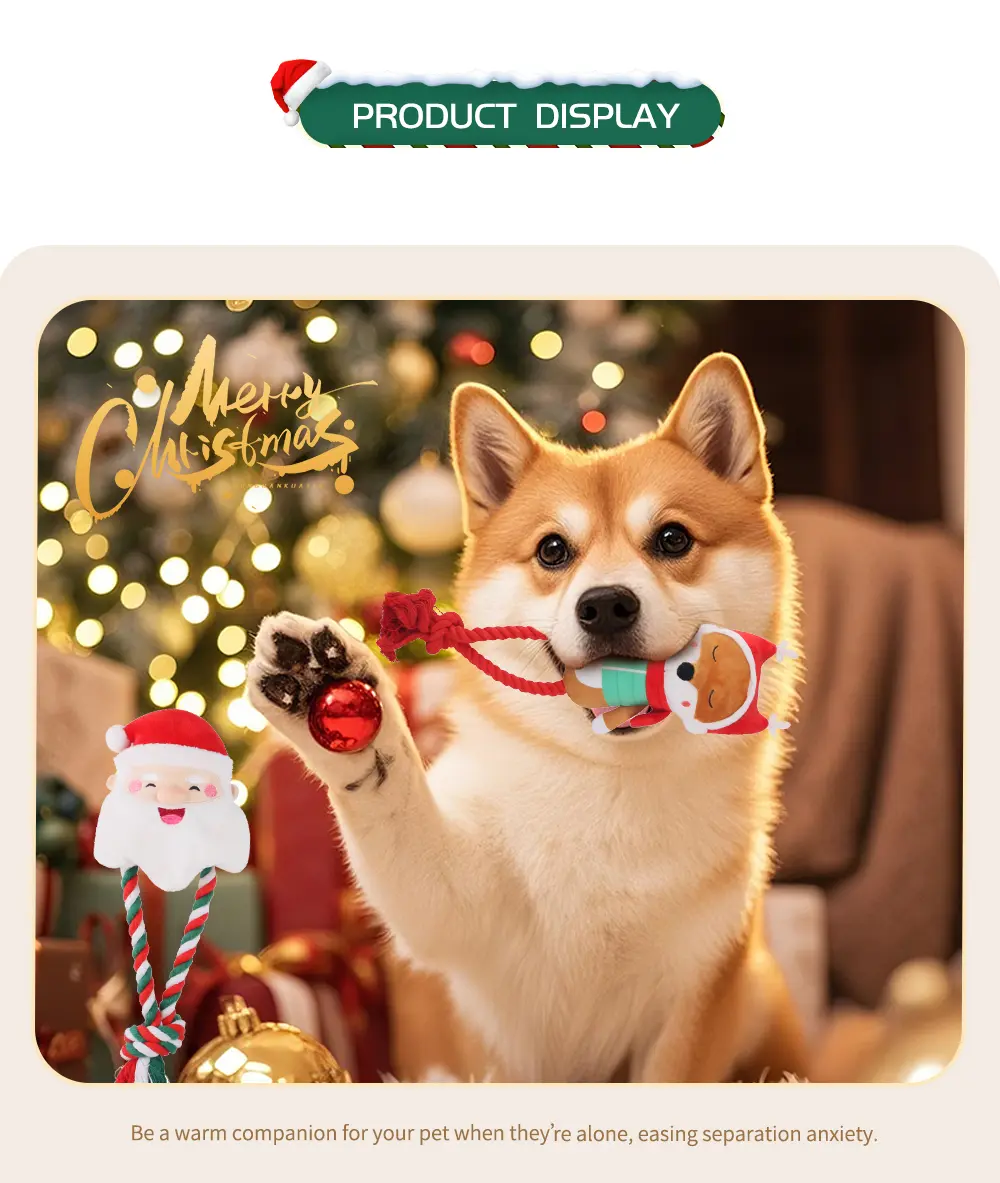 Interactive Pet Toy Detail 5