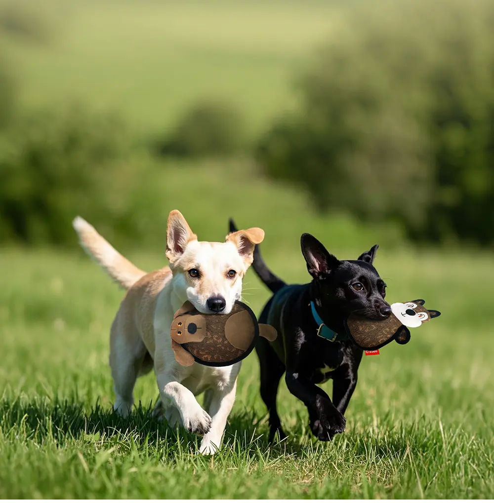 Dog Plush Toy Puppy