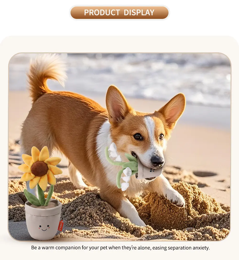 Pet Toy Image 6