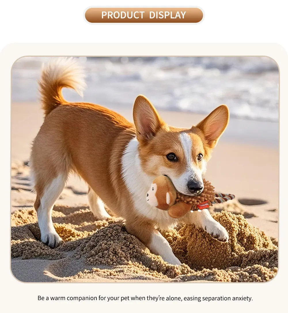 Pet Toy 6