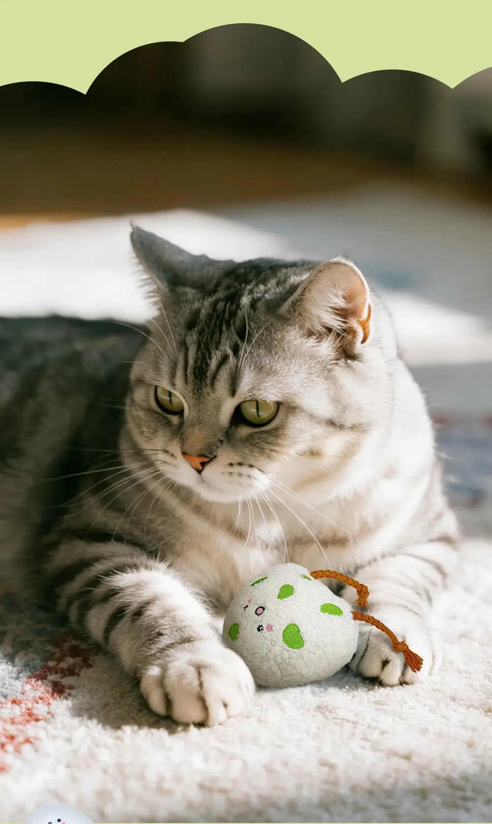 cat biting toys (5)
