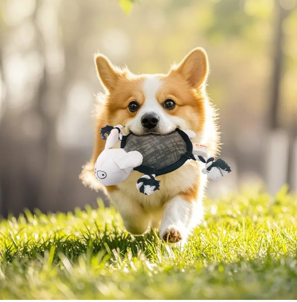 Dog Toy Detail 3