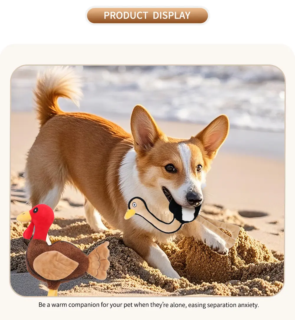 Pet Toy Display 6
