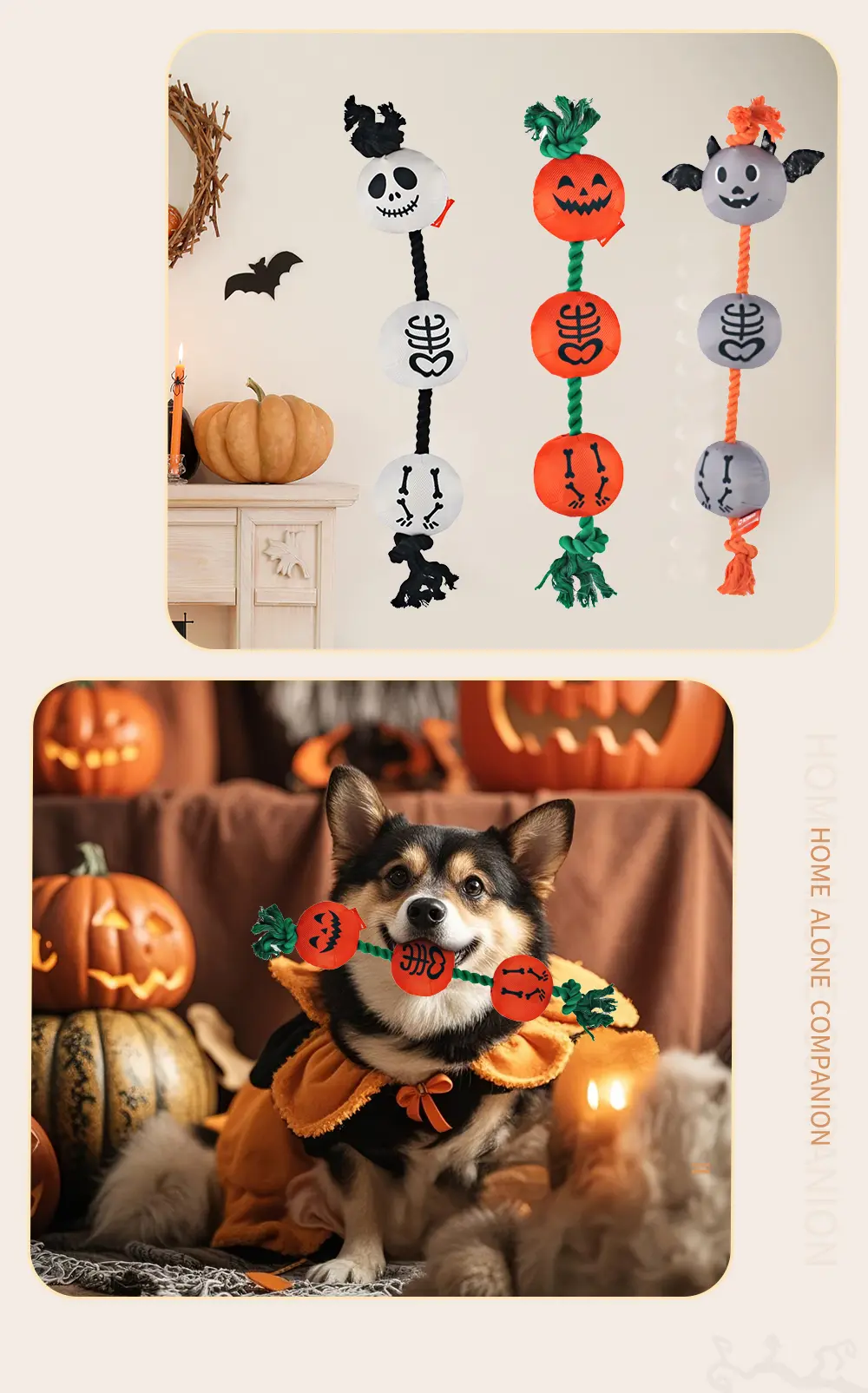 Pet Toy 7