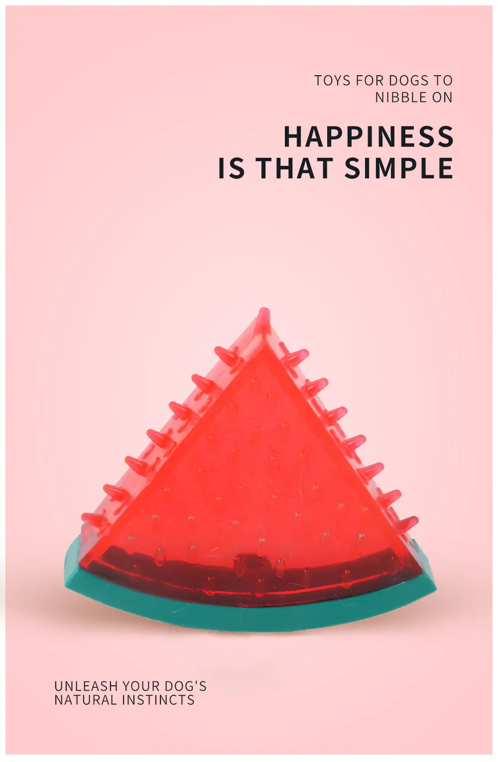 Watermelon Toy View 1