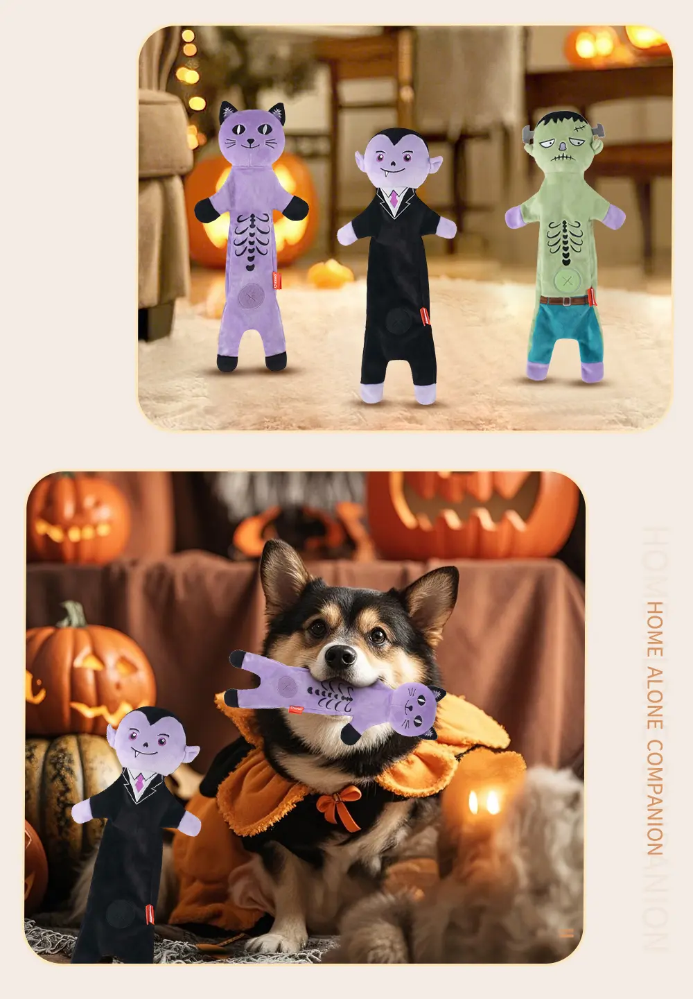 Pet Toy View 7