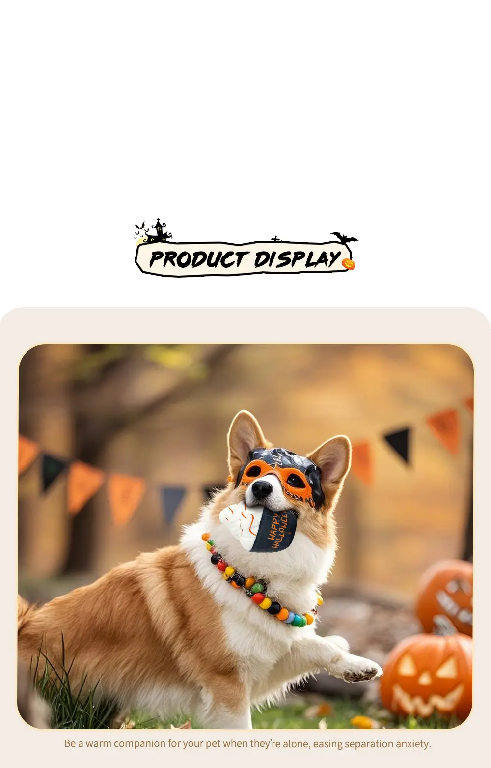 Pet Toy 6