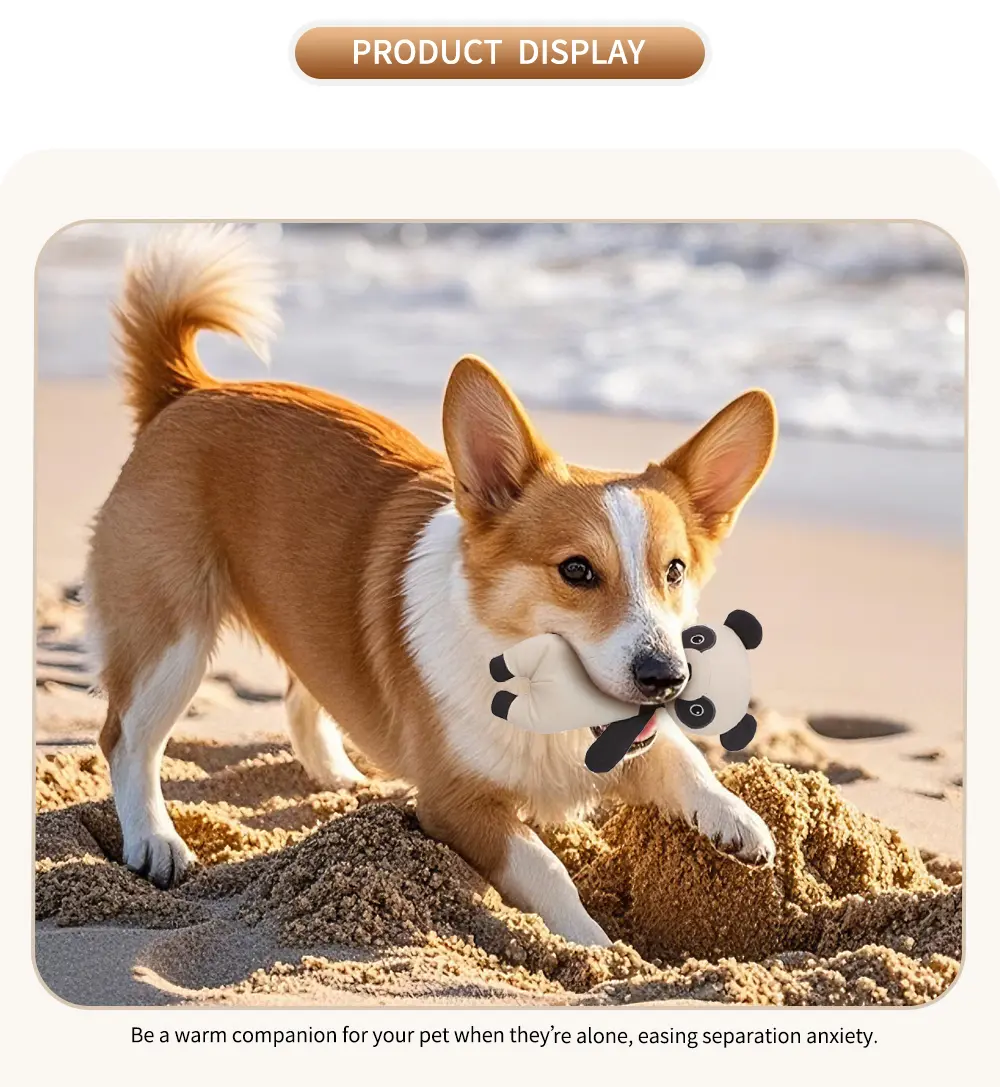Interactive Pet Toy Detail 2