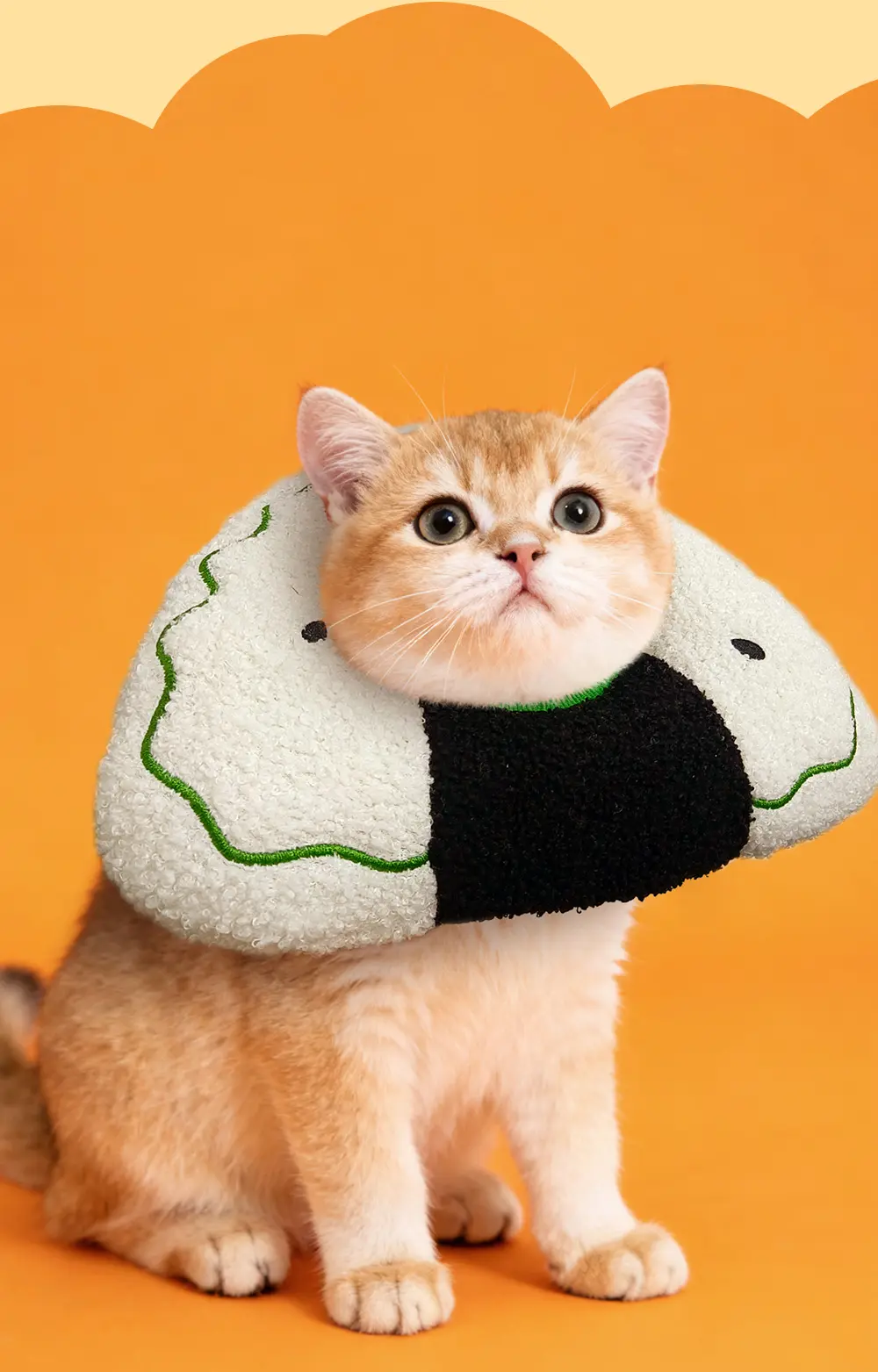 cute cat toys (5)