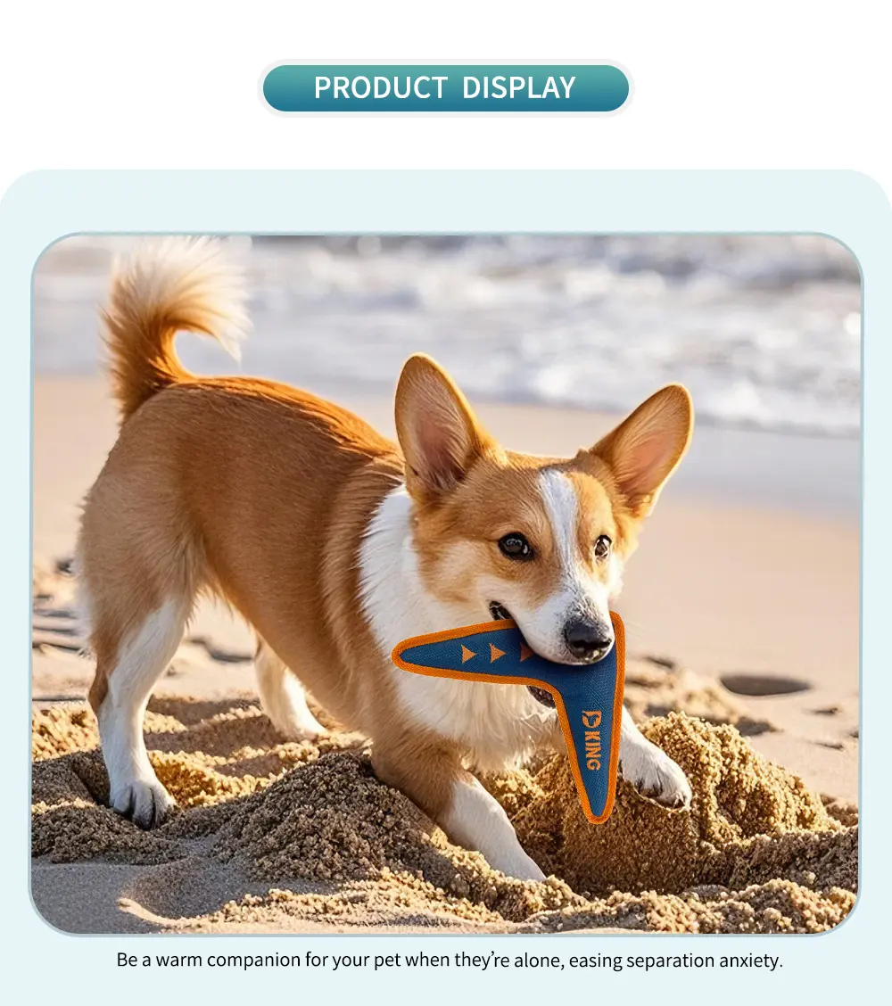Pet Toy View 5