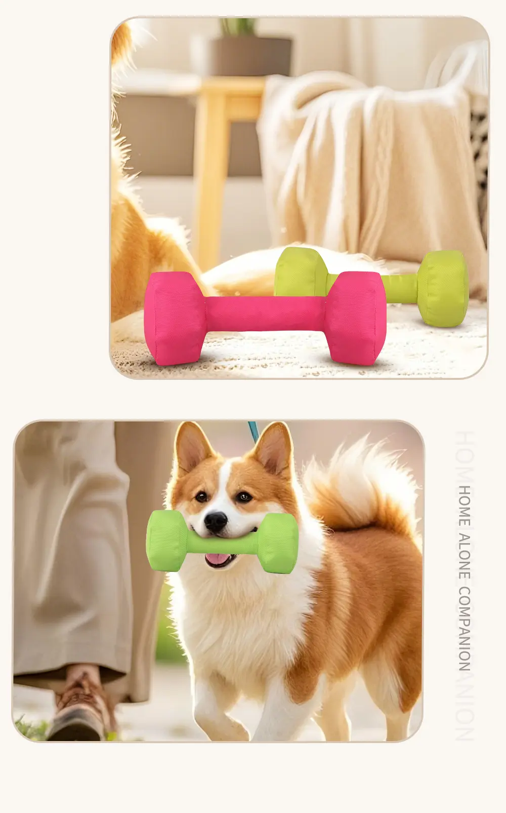 Dumbbell Series Pet Toy Detail 8