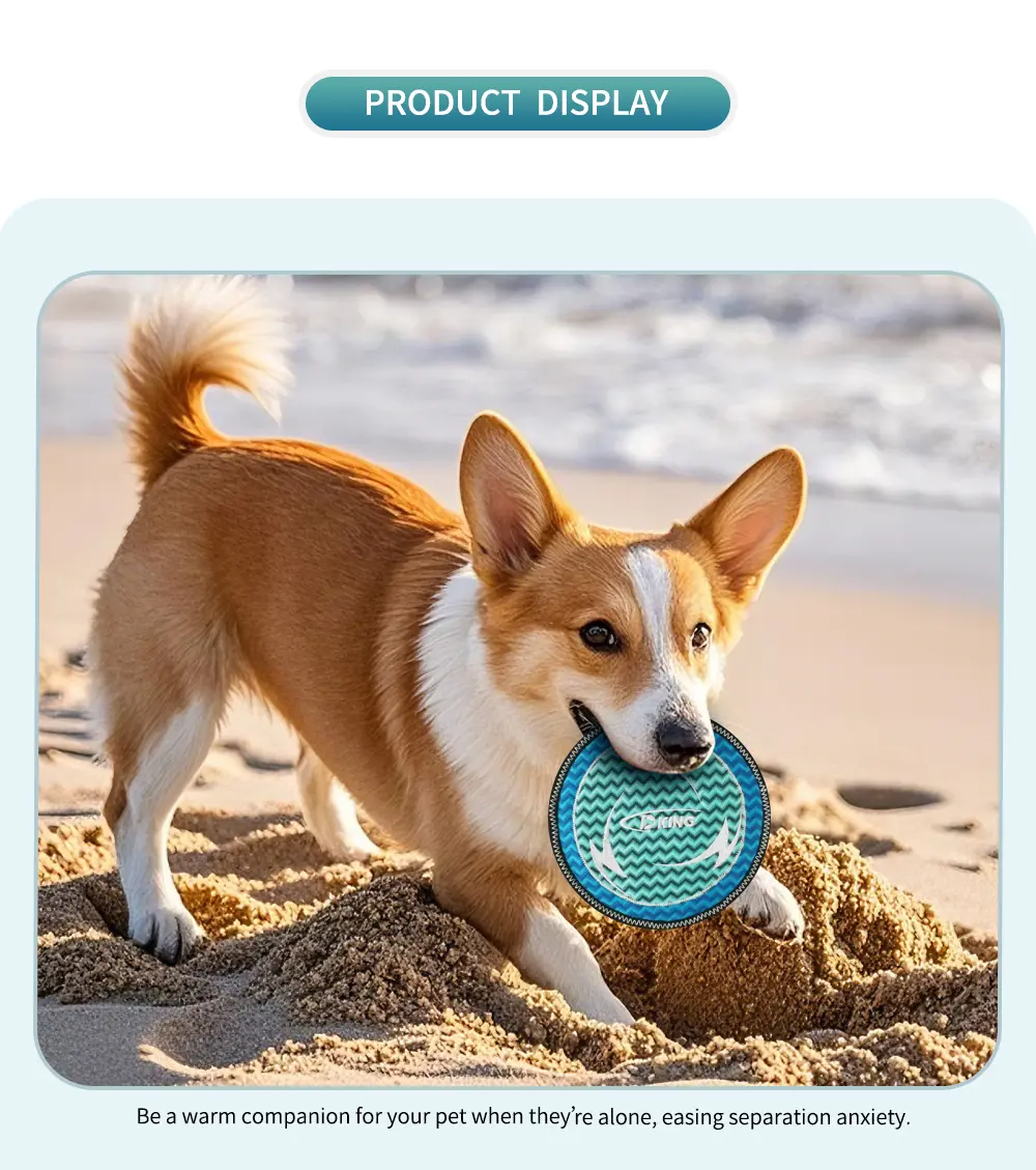 Dog Toy 6