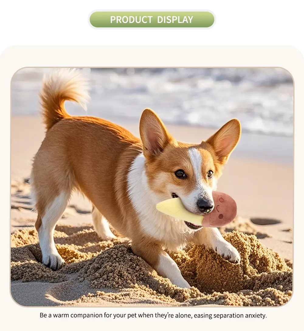 Pet Toy Image 6
