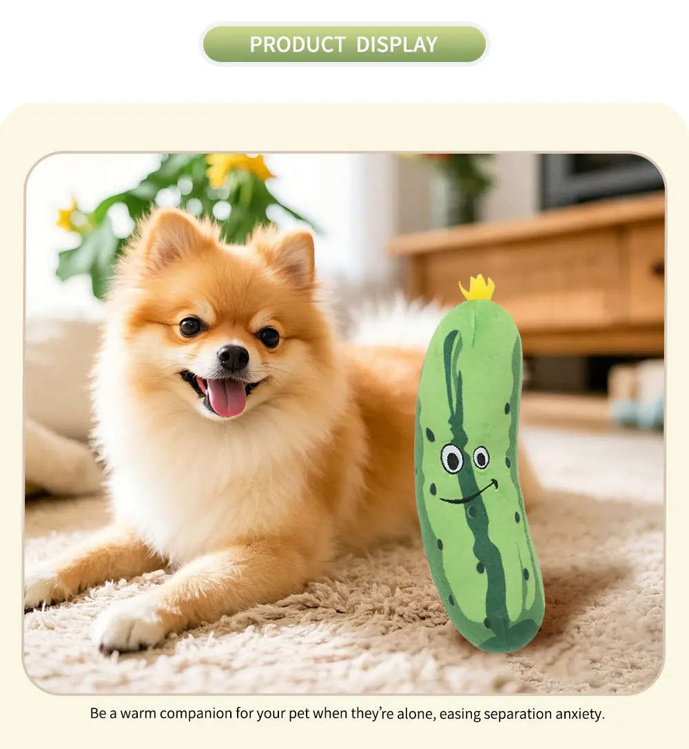 Pet Toy Display 6