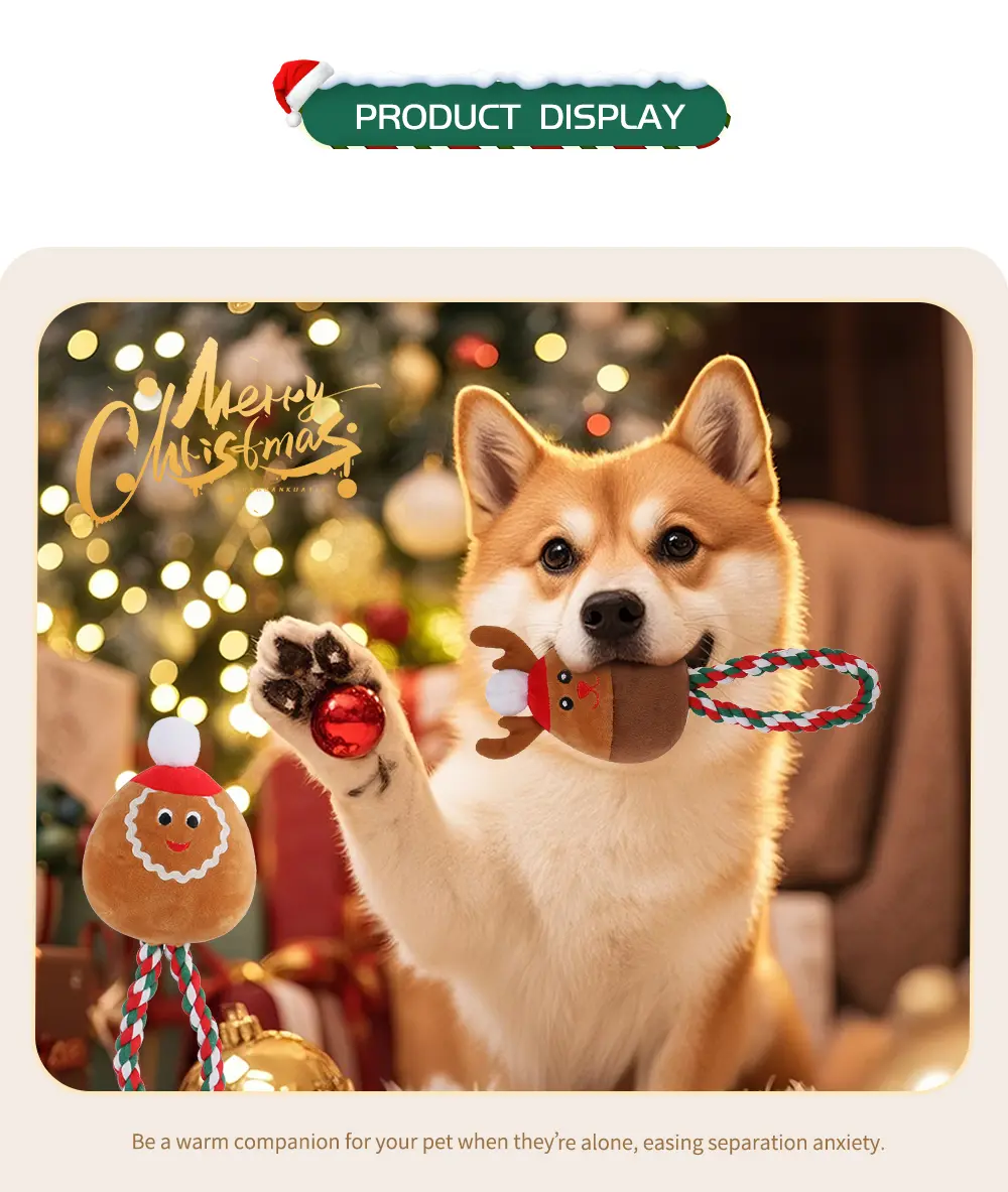Pet Toy Display 6