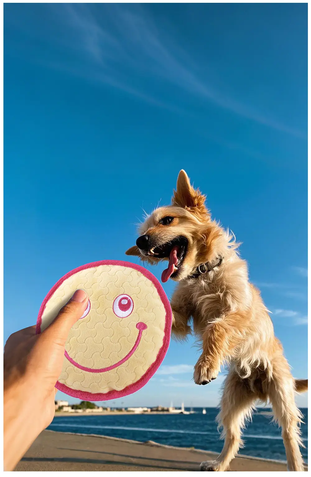 Plush Toy Series Dog 11