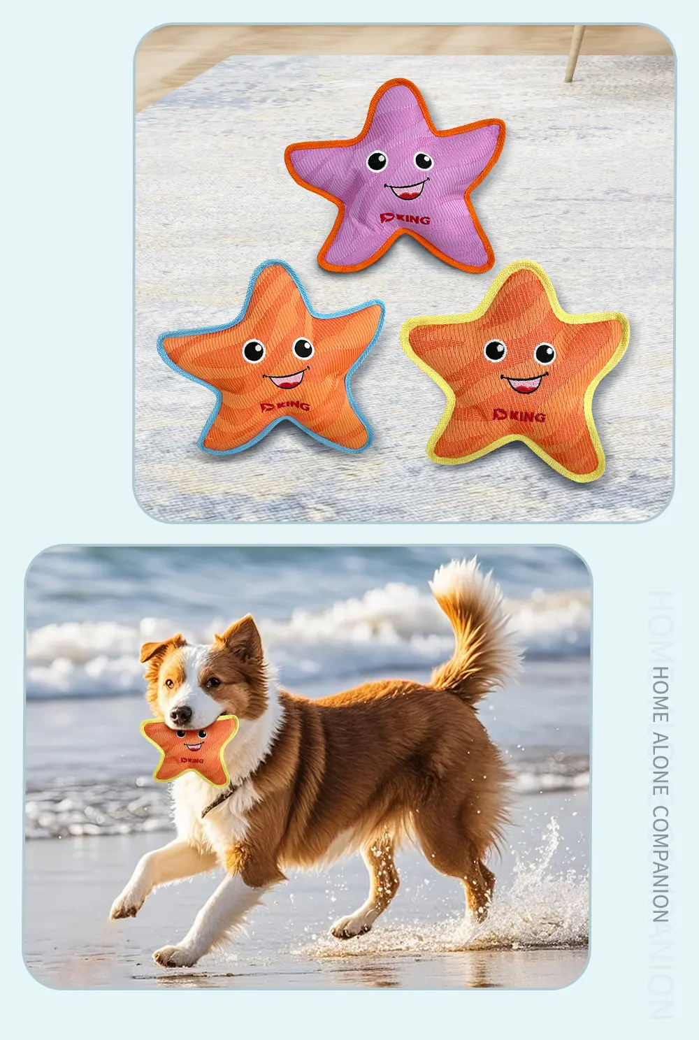 Starfish Toy View 7