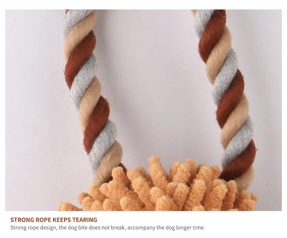 Pet Toy 14